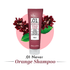 .01 Never orange shampoo (200ML AND 1000ML)